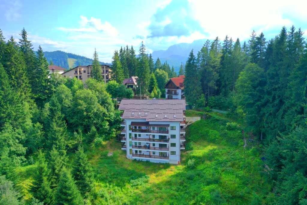 Vanilla Residence Predeal Εξωτερικό φωτογραφία